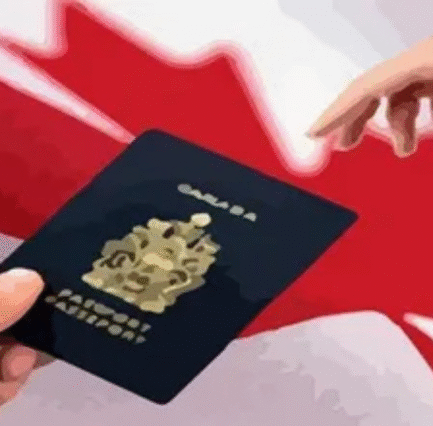 Untitled design (2) Untitled design (2)